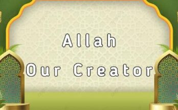 Allah - Our Creator