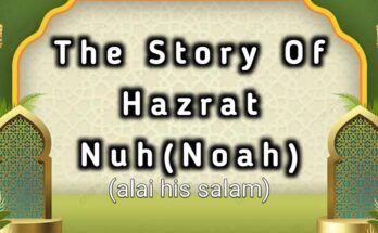 The story of Hazrat Nuh(alai his salam)(Noah)