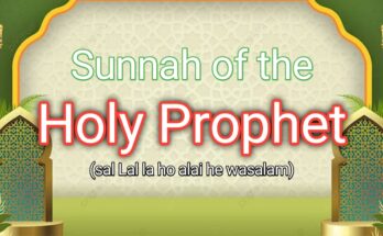 Sunnah of the Holy Prophet(sal lal la ho alai he wasalam)